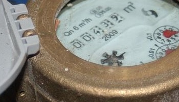 Wasseruhr Wasseruhr