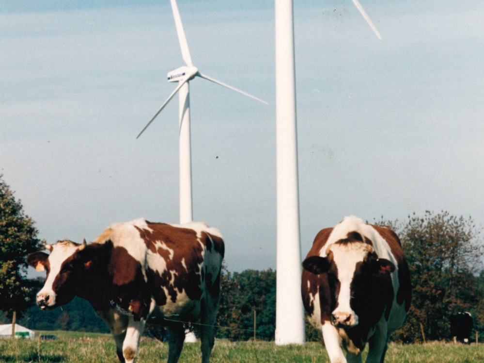 Der Windpark Saar in Freisen 1994 errichtet und bis 2005 sukzessive auf 15 Windkraftanlagen erweitert. 2011 wird ein Repowering beschlossen. Windpark Freisen
